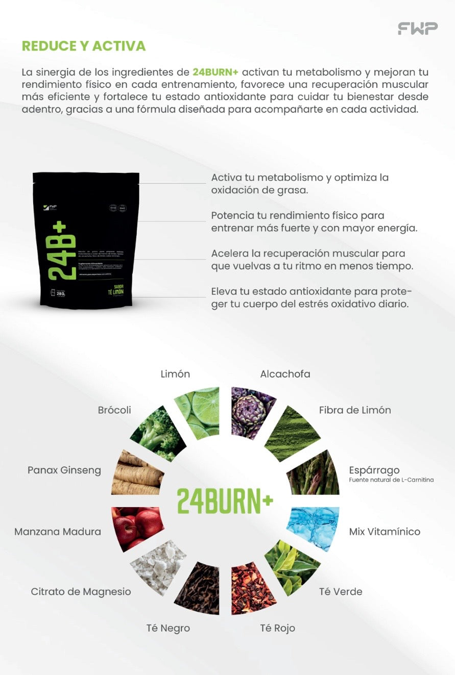 Beneficios de 24BURN+: alcachofa, espárrago, tés y ginseng